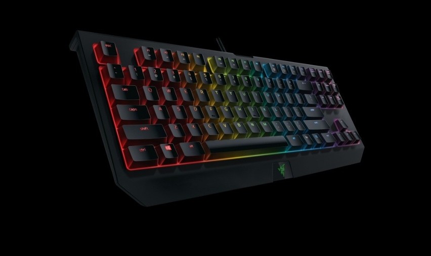 Razer BlackWidow TE Chroma V2
Razer BlackWidow TE Chroma V2