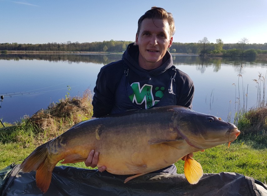 Olbrzymiego karpia o wadze 20,8 kilograma złowił w niedzielę...