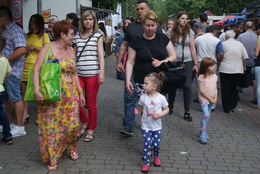 Drugi dzień Dni Dąbrowy Górniczej w Parku Hallera