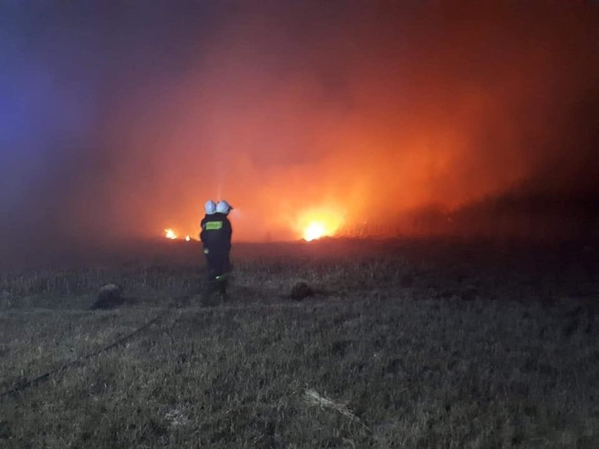 Pożar traw w miejscowości Dratów (powiat łęczyński). W ciągu...