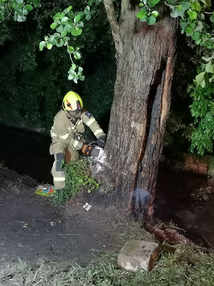 Pożar drzewa. Akcję przeprowadzili strażacy z OSP Złocieniec