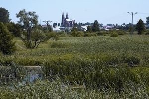 Piękne zielone tereny Krainy Biebrzy i niezwykle urolkiwe miasteczko przyciagają co roku rzesze turystów