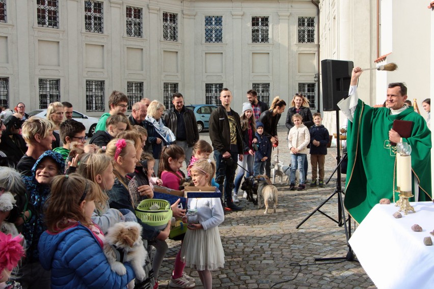 Z okazji wspomnienia świętego Franciszka z Asyżu na...