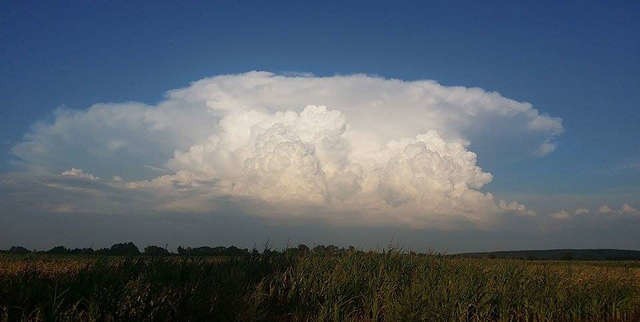 W okolicach Chełmna - chmura burzowa cumulonimbus z rozbudowanym kowadłem