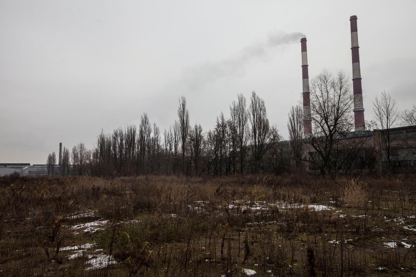 Kraków. Gorąca dyskusja o przyszłości terenów kombinatu. Wiceprezydent Krakowa do ArcelorMittal: Działacie jak klasyczny deweloper