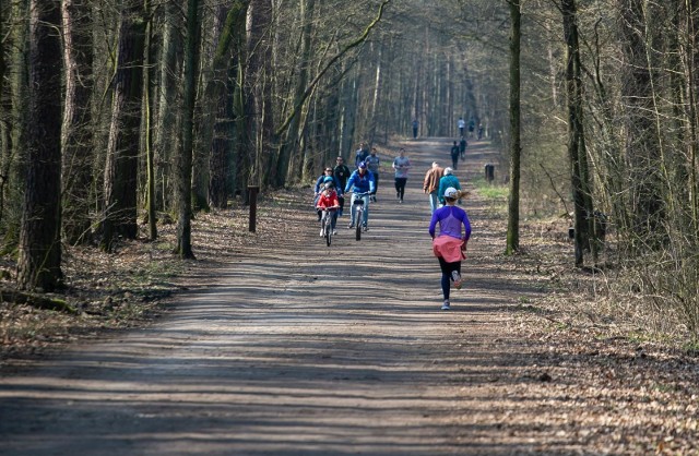 Czy od 20 kwietnia 2020 podczas spaceru lub biegania w lesie trzeba będzie nosić maseczkę? Wyjaśniamy.