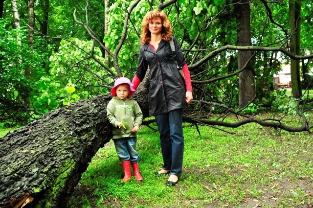 - Pogoda jest ostatnio bardzo kiepska - ocenia Małgorzata Dańska z córką Amelią przy drzewie na Placu Jagiellońskim powalonym prez ostatnią burzę.