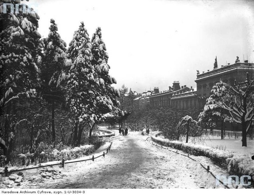 Styczeń 1927. Planty w Krakowie w zimowej scenerii