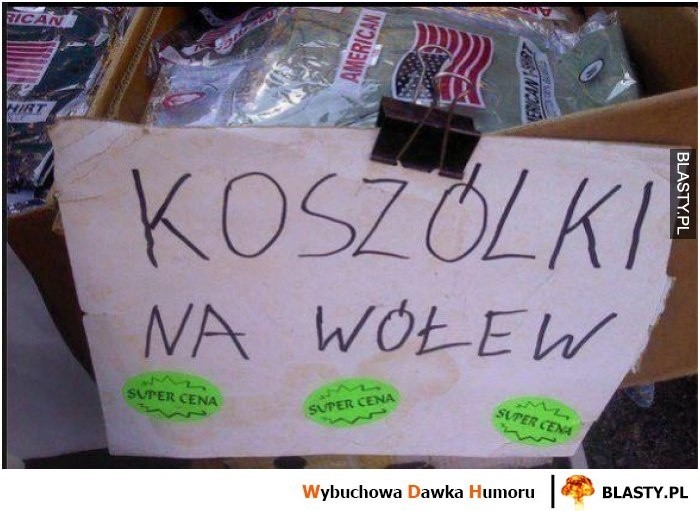 „Polska język, trudna język”, czyli Dzień Języka Ojczystego na wesoło. Zobacz najlepsze MEMY internautów o języku polskim