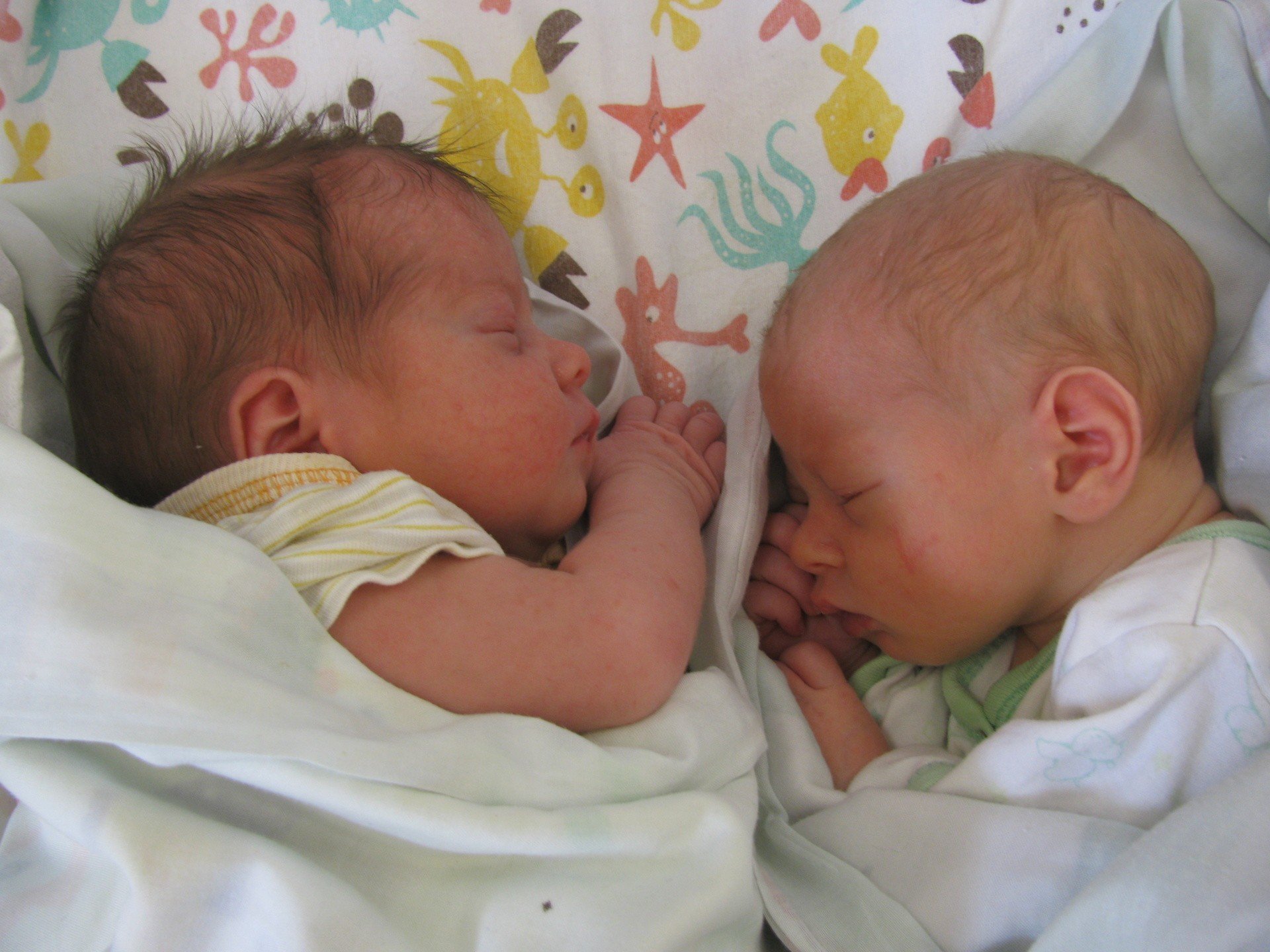 opolskie-noworodki-25-zdj-maluch-w-urodzonych-na-porod-wce-w-opolu
