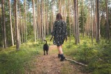 Mieszkanka powiatu brzozowskiego wyjeżdżała za granicę, więc przywiązała psa do drzewa w lesie. Odpowie za to karnie