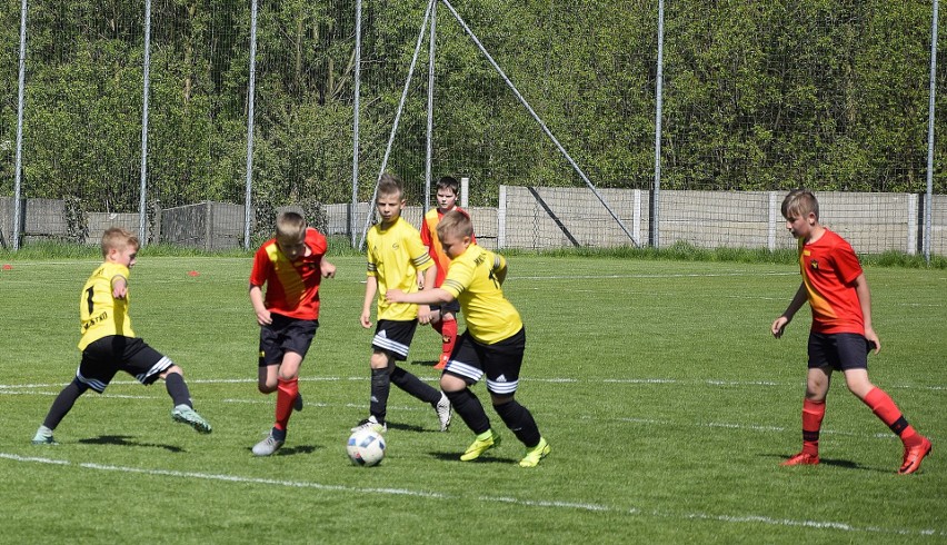 W lidze młodzików (D2) Start Miastko na własnym stadionie...