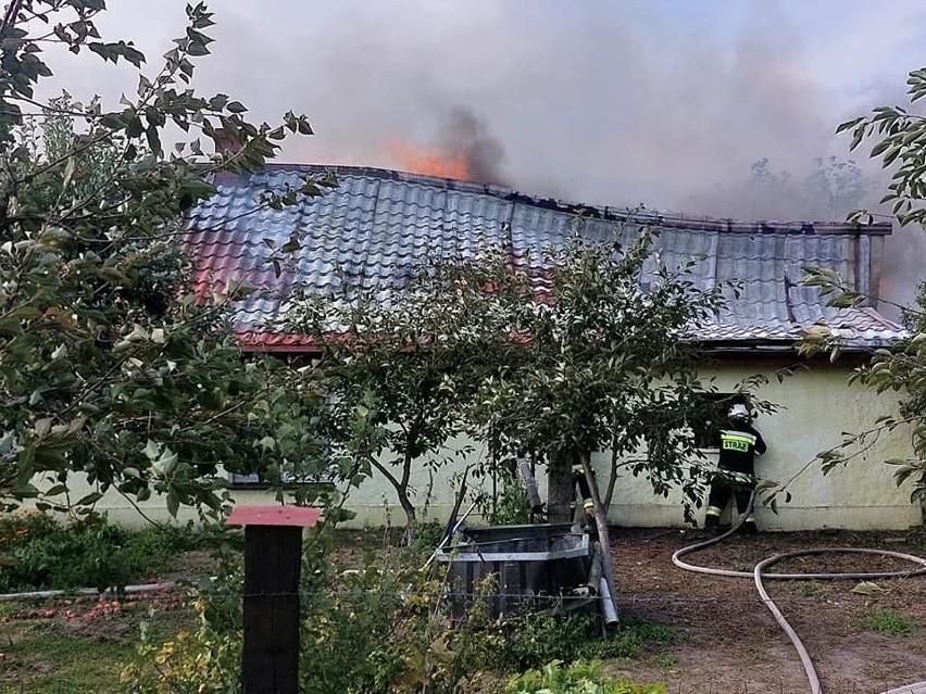 Groźny pożar w Skąpe w gminie Chełmża. Spłonęły domki szeregowe, straty są ogromne