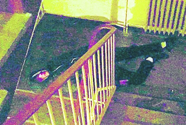 Zatrutych  dopalaczami  lokatorzy  znajdują czasami  na  klatkach  schodowych.