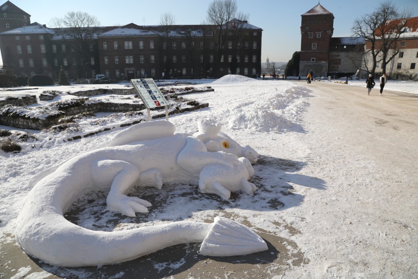 Kraków. Na Wawelu pojawił się spory smok zrobiony ze śniegu