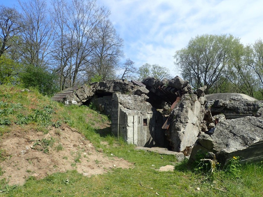 Szczątki żołnierzy radzieckich znaleziono w rejonie bunkra,...