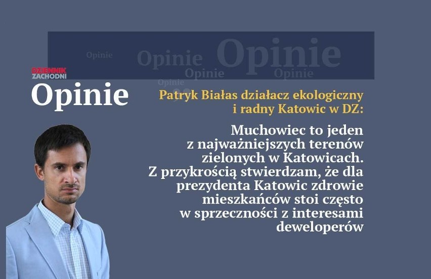 Patryk Białas o wycince drzew w Katowicach: Muchowiec drugą Amazonią. Plan wycięcia "zielonych płuc" Katowic