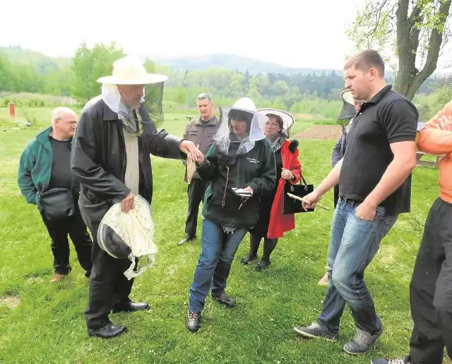 Inspektorzy wyślą próbki martwych owadów do Puław na badania