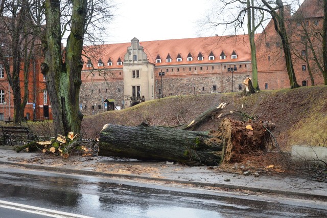 Blisko 25o zdarzeń w wyniku wichury odnotowali strażacy dzisiejszej nocy i poranka.