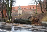 Blisko 250 interwencji straży pożarnej. Wichura w Bytowie i okolicy (ZDJĘCIA)