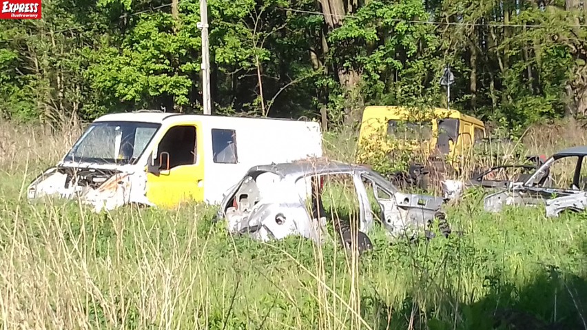 Wraki pod Łodzią: odjechało BMW z kolekcji, przyjechały dwa land rovery, a złomowisko zarosło… [zdjęcia, FILM]