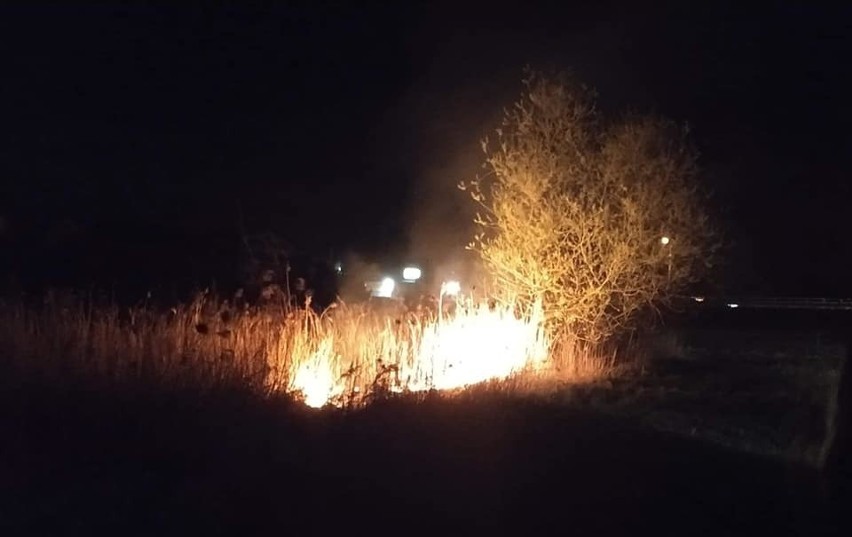 Pożary traw i poszycia leśnego w powiecie ostrołęckim - sześć w ciągu doby, 26.04.2020
