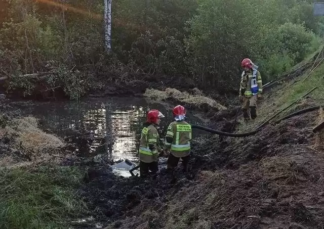 Podczas środowej akcji strażaków w Jacentowie