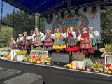 Wolanów Food Festival, czyli nowoczesne obchodzenie dożynek. Jak zawsze zapewniono mnóstwo atrakcji. Zobacz zdjęcia