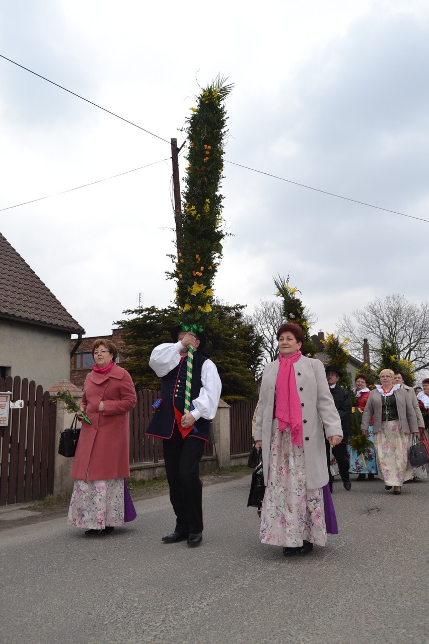 Piękne, ponad dwumetrowe palmy przygotowali mieszkańcy...