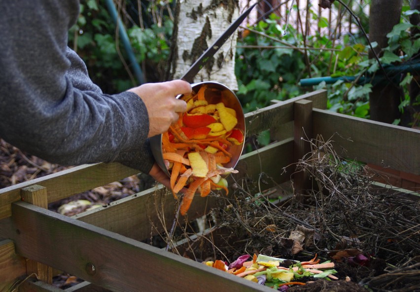 Kompost w ogrodzie możemy wytworzyć sami, wykorzystując...