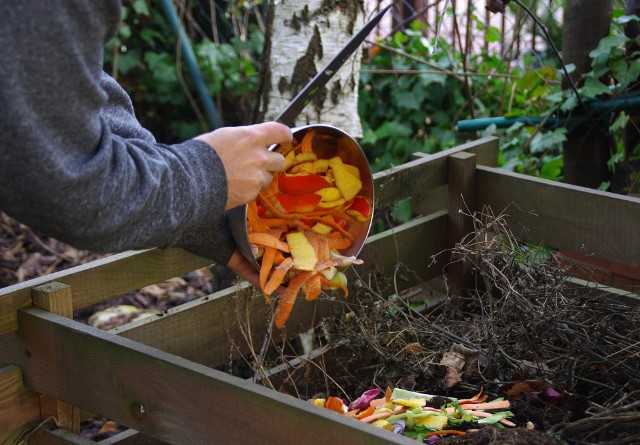 Kompost w ogrodzie możemy wytworzyć sami, wykorzystując skoszoną trawę, opadłe liście oraz gałązki z przycinanych krzaków róż, porzeczek itp.