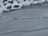 Lód się załamał. Mężczyzna wpadł do wody 