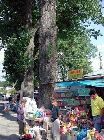 Te drzewa to ogromne zagrożenie dla życia i zdrowia ludzi - mówi jeden z  handlujących na krośnieńskim bazarze.