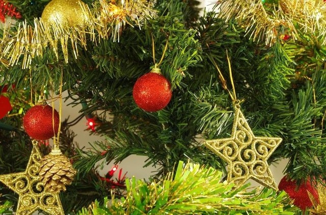 Sprawdziliśmy jak znane osoby z powiatu pińczowskiego spędzają święta Bożego Narodzenia. Jakie mają plany na wigilię, pierwszy i drugi dzień świąt oraz jakie świąteczne tradycje panują u nich w rodzinie. Zobacz więcej na kolejnym slajdzie.