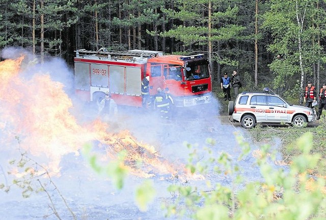 Do 23 kwietnia na terenie RDLP Toruń zanotowano 53 pożary