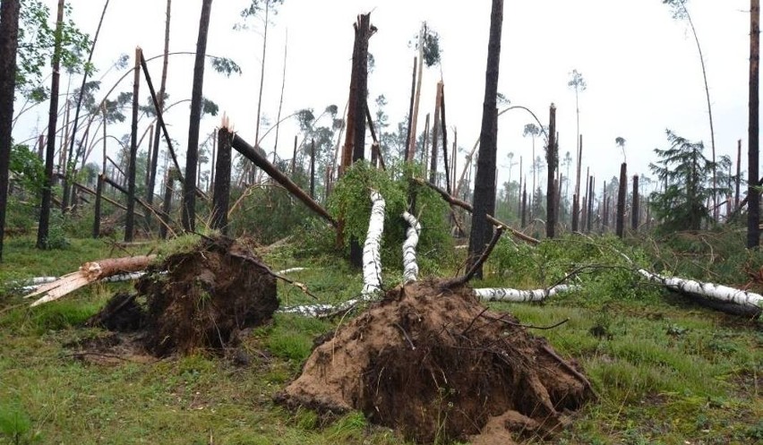 Tragedia w Suszku. Bilans nawałnicy, która przeszła nad...