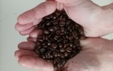 Eksperci: na ceny kawy wpływają zmiany klimatyczne i popyt w Chinach