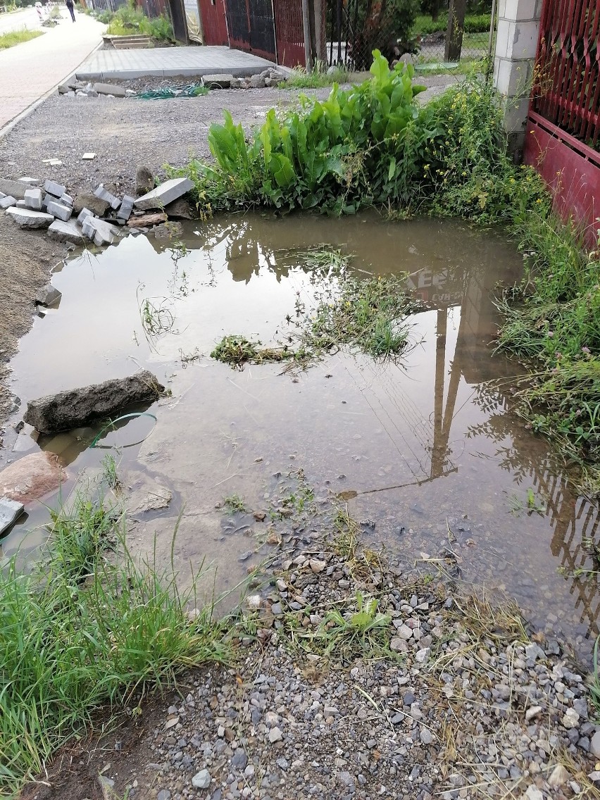 Mieszkańców Milejowic w gminie Zakrzew wciąż zalewa woda. Duży problem z drogą wojewódzką