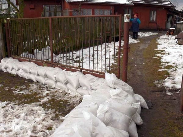 Najbardziej zagrożone powodzią gospodarstwo rodziny Wolaków w Burdzach k. Bojanowa, zabezpieczone workami z piaskiem, nie zostało pomyte. 