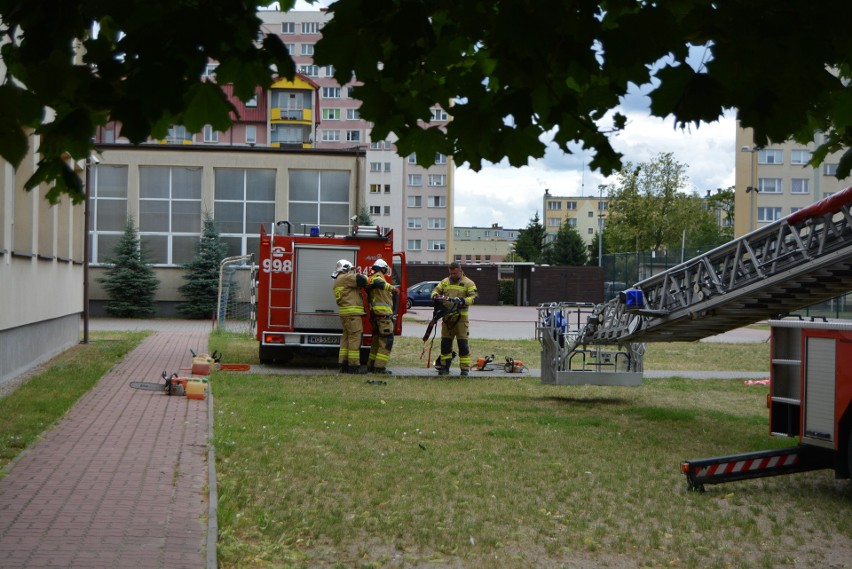 Ostrołęka. Drzewo runęło na plac zabaw przy Szkole Podstawowej nr 1. 7.07.2022