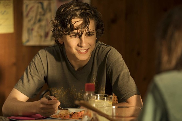 Timothée Chalamet to największy magnes przyciągający do kin na film "Mój piękny syn"