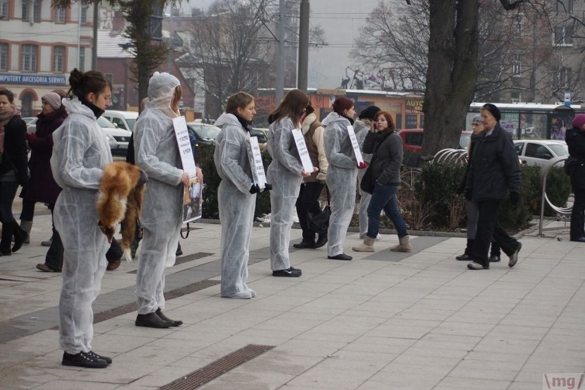 Protestowali przeciw futrom pod Galerią Bałtycką