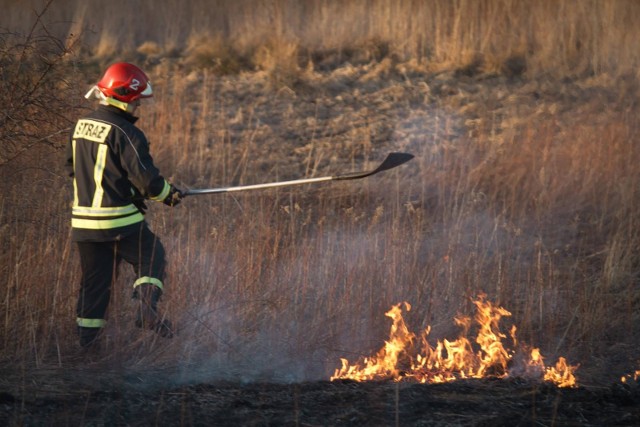 Wypalanie traw szkodzi i jest zabronione. Niestety, wciąż nie wszyscy zdają sobie z tego sprawę. 