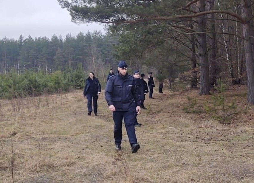 Wybierasz się na grzyby? Pamiętaj o podstawowych zasadach bezpieczeństwa