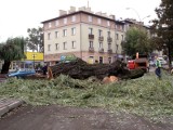 Nie ma już wierzby rosnącej przy JDK. Ruszyła budowa ronda