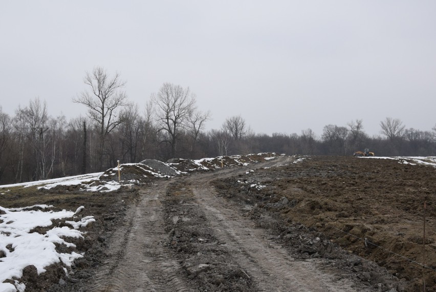 Oświęcim. Na Kamieńcu wycięto piękne drzewa. Tak powstaje Park Pojednania Narodów [ZDJĘCIA, WIZUALIZACJA]