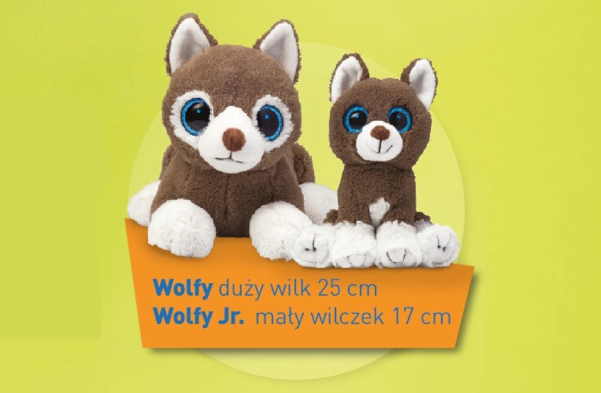 Wilki - Wolfy i Wolfy Junior