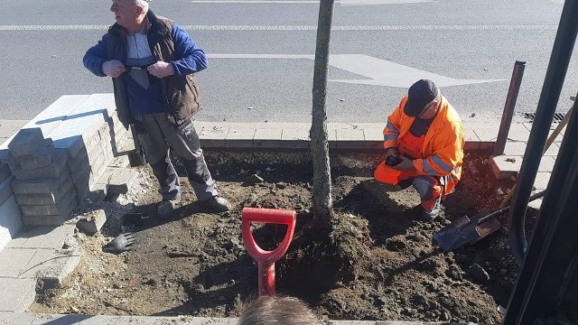 Jesienią ubiegłego roku zdemontowano płyty na chodniku na ul. Rydzowej.