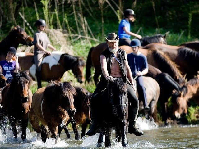 Wypoczynek w Bieszczadach coraz chętniej wybierają turyści zagraniczni.