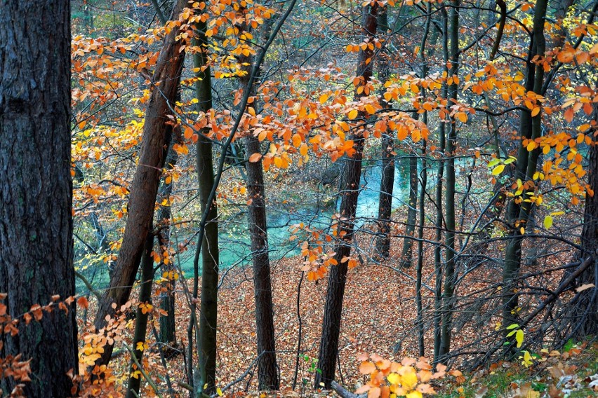 Dolina Sztoły w jesiennych barwach